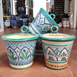 Set of 3 Plants Pot-Hang...