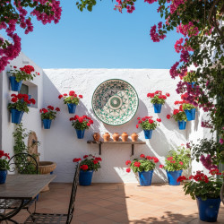 Big Plate "Tito" - 51 cm. -