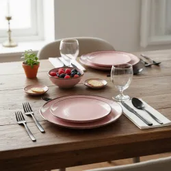 Set of 2 Dinner plates.