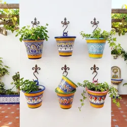 Set 3 Plants Pots-Hang - 16cm. -