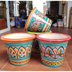 Set of 3 Plants Pot...